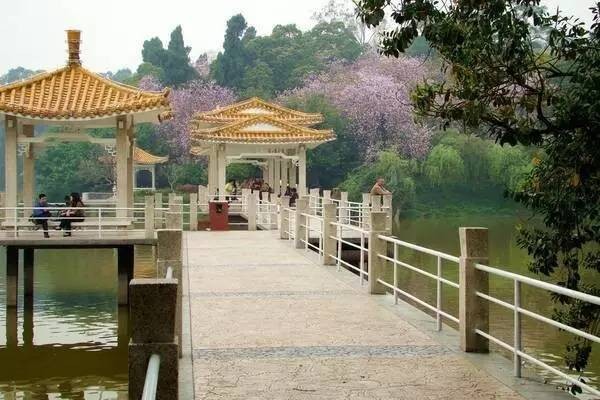 海鮮任吃決戰到天明！泡廣州最大最靚水療會所！雙早雙晚雙宵夜！