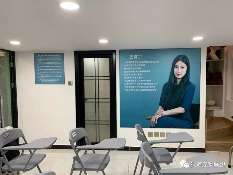「推薦學校」北京汪倫寵物SPA培訓學校