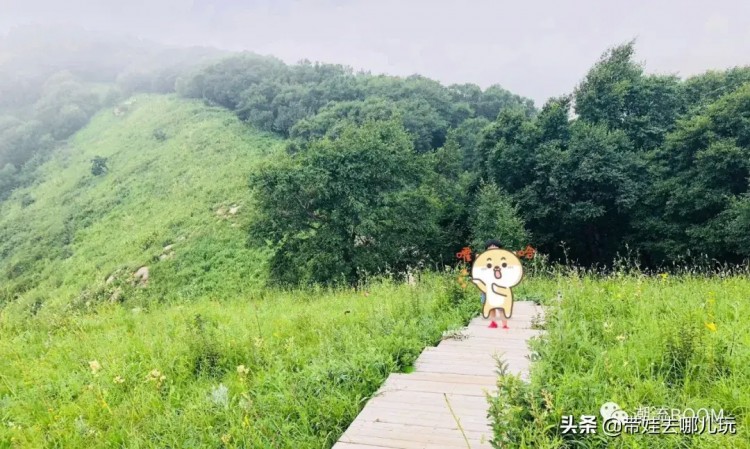 到北京海拔最高的咖啡館給你的肺做個(gè)SPA