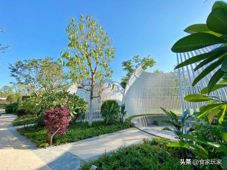 廣州云嶺湖園林式泡池自助早晚泡鳥巢養生湯泉親子戲水池