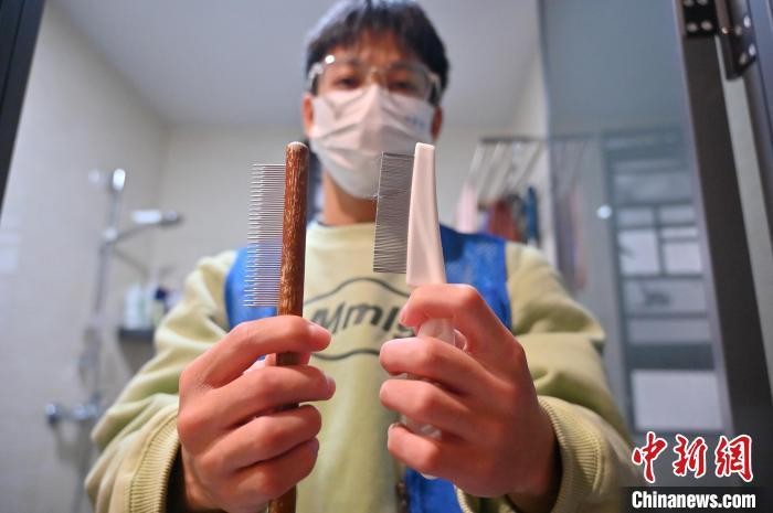 廣西南寧上門洗貓服務需求旺萌寵居家享受SPA