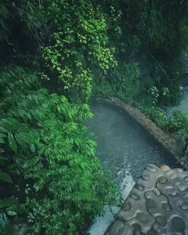 今冬成都周邊雪山綠境瀑布中的池子你去泡了嗎