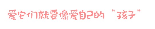 「廣東深圳」愛寵來啦！給淘氣寵兒做個SPA吧！
