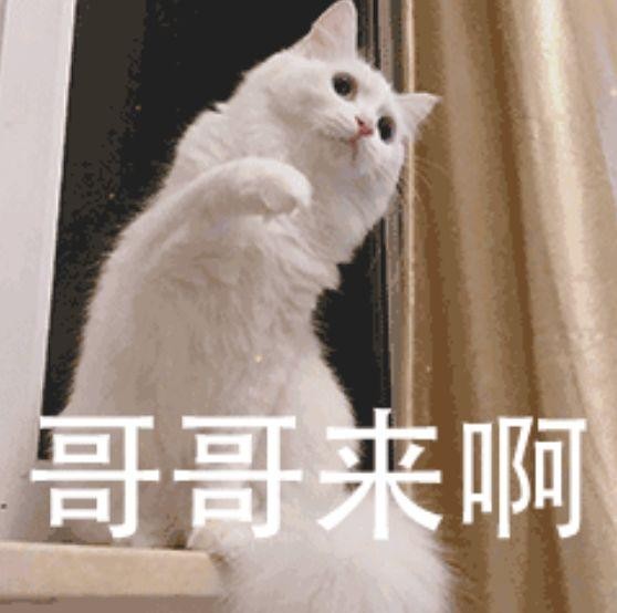 新型套路店！男性秘密花園他們被專車一一接進去卻有苦說不出……