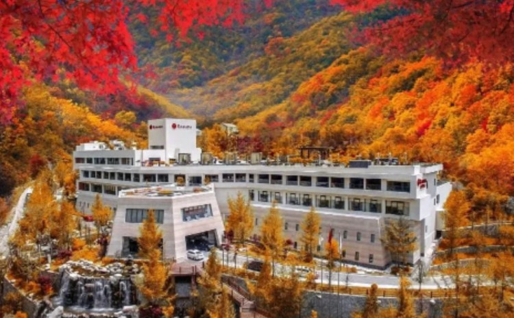 成都3h直達網紅溫泉：無邊泳池藏在大山深處純天然