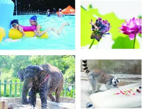 南京2016夏季玩水指南水上樂園游泳漂流統統都有！
