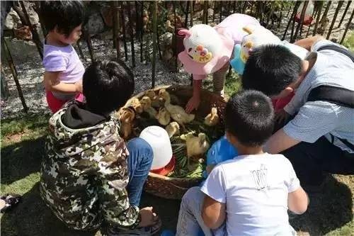 六一兒童節丨江寧7處適合帶孩子去的景點!