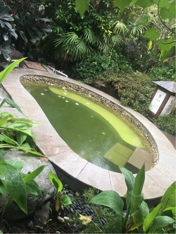 澤勝溫泉季快活指南只想在湯里虛度光陰