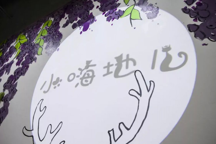 貓の城堡天津驚現擼貓圣地萌到炸！