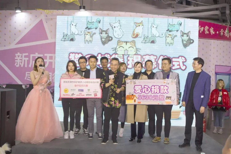 貓の城堡天津驚現擼貓圣地萌到炸！