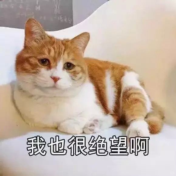 天津河西區這家店火了！愛美的女生速進！
