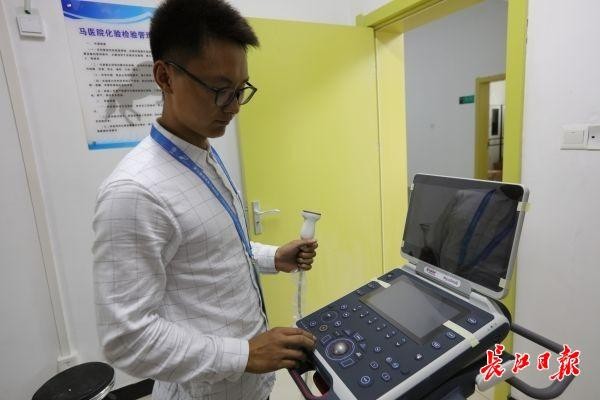 醫院保姆SPA跑步機……軍運會馬兒們在武漢享受星級待遇