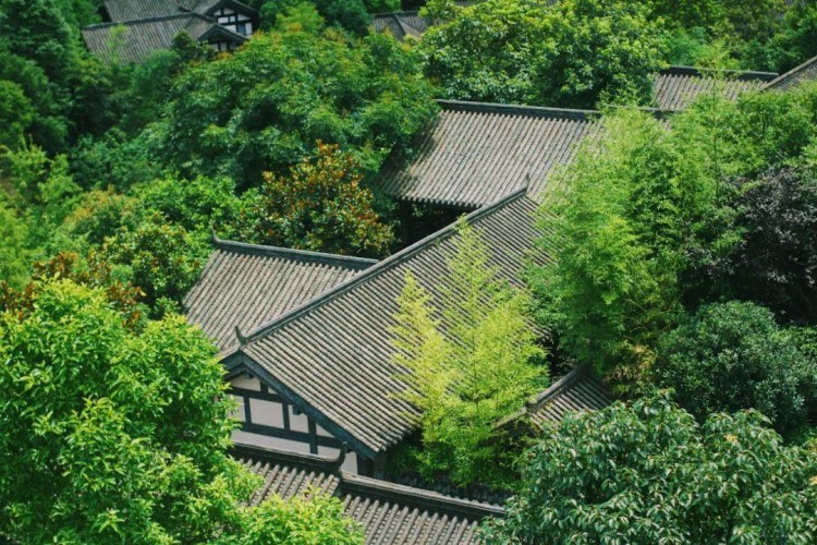 重慶北碚悅榕莊|山居泡溫泉醉臥松林間
