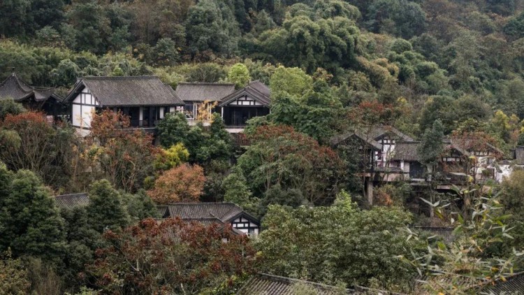 重慶北碚悅榕莊|山居泡溫泉醉臥松林間