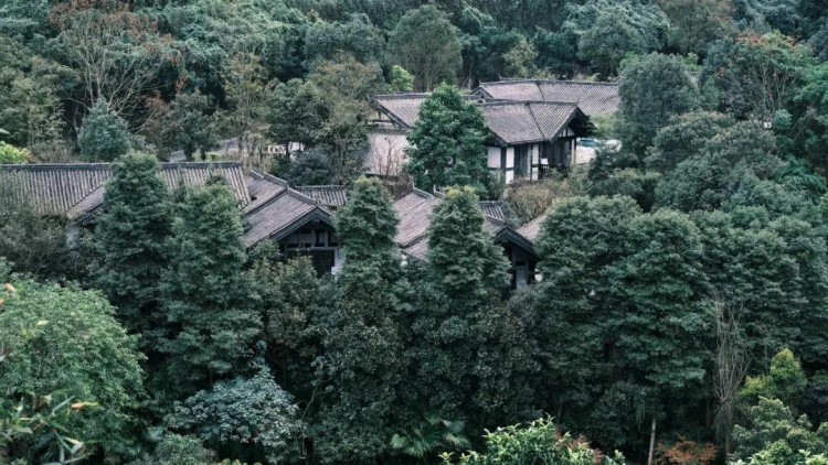 重慶北碚悅榕莊|山居泡溫泉醉臥松林間