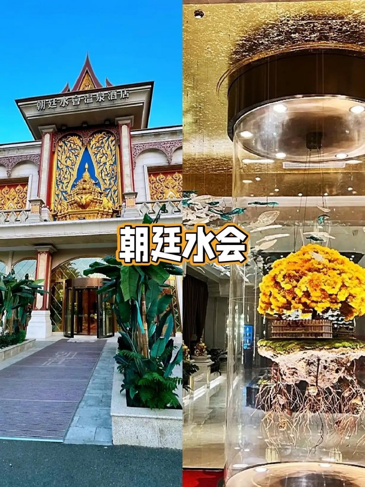 室內玩水好去處｜天津六家寶藏好店