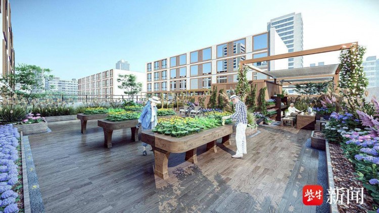 新加坡高品質養老機構落地南京燕子磯——訪欣岳年南京機構總經理王雪
