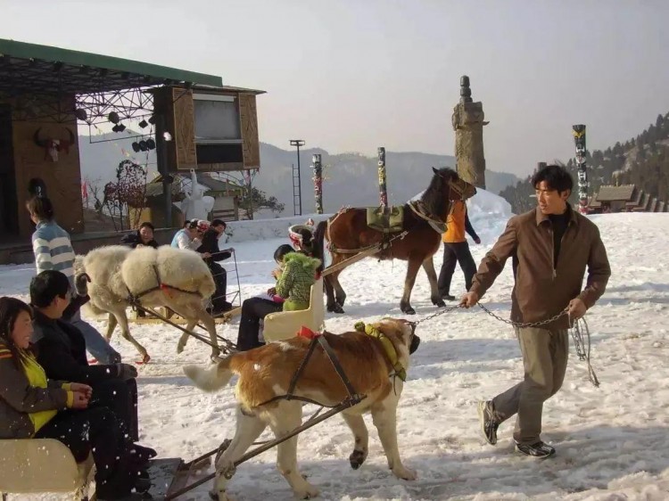 這才是冬天的正確打開方式濟南滑雪溫泉一網打盡帶娃約起來