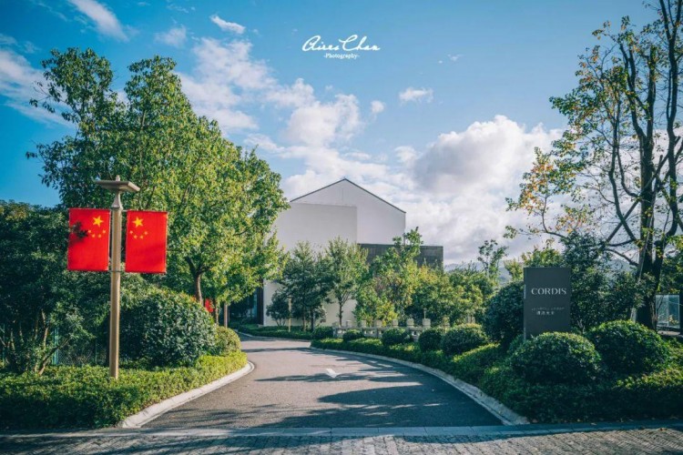 這是湖邊度假酒店的性價比天花板！還有雙11玩法劇透