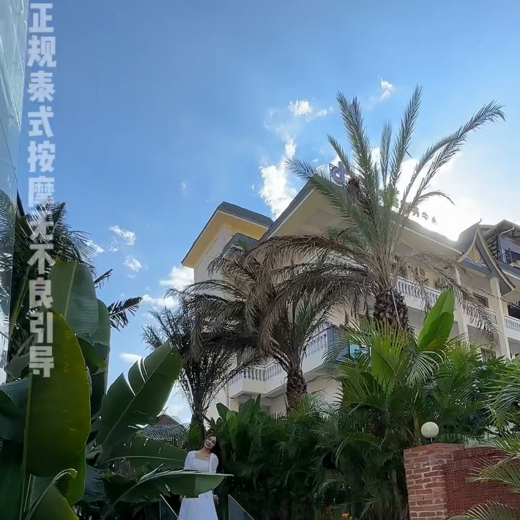 100多200多！西雙版納別墅式的古法泰式按摩！告莊...
