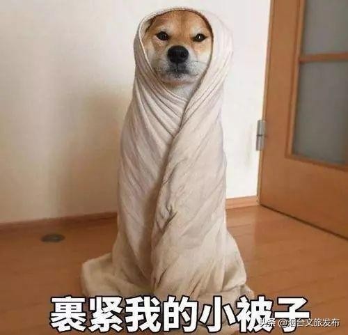 舒服！秋意漸濃養生季就來泡湯吧~