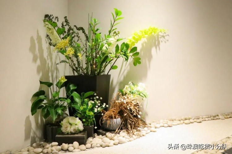 超星級的護膚體驗！珠海這家美容生活館比男票更懂你