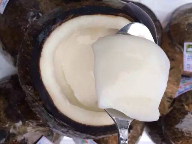 春假尾聲三亞度假最后補漏小貼士