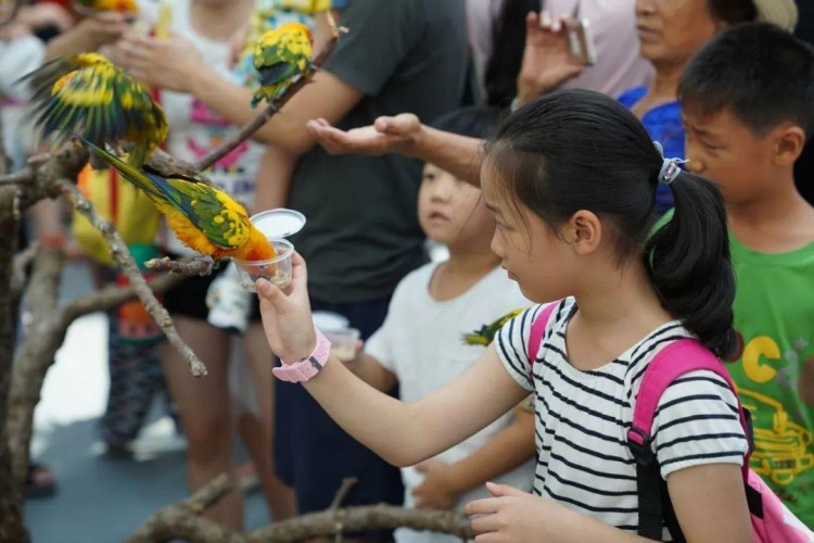 @濰坊人去日照旅游必收藏！深度解鎖網(wǎng)紅海洋公園N種互動(dòng)玩法！