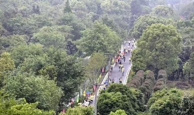 高溫橙色預警來了!別怕金華這些地方帶你找回25℃的清涼!