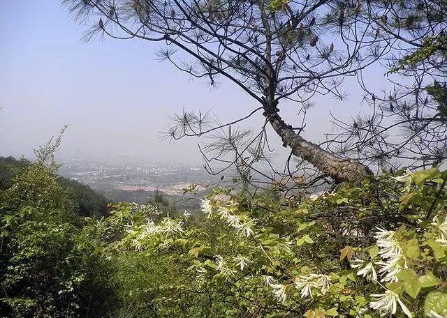 高溫橙色預警來了!別怕金華這些地方帶你找回25℃的清涼!