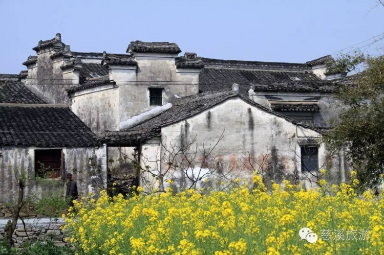 秋冬時節(jié)不要錯過慈溪這三條養(yǎng)生旅游線路