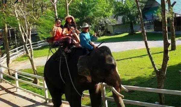 「娛樂篇」榆林直飛泰國就得這么玩泰嗨了！