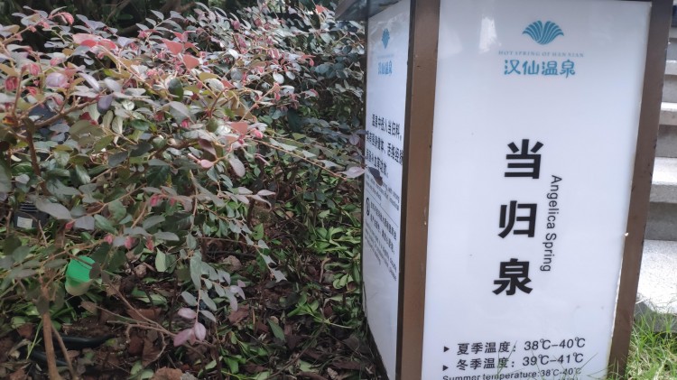 秋冬之際告訴你一個景美人少的溫泉好去處