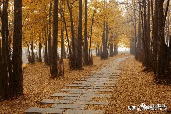 天涼了告別秋燥溫泉養(yǎng)生約起來吧！