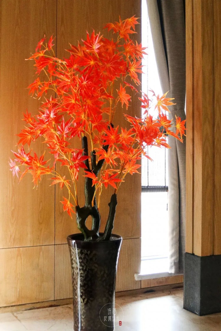 許昌這個解壓圣地24h不打烊花式躺玩一整天~真是太太太舒坦啦