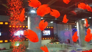 原來保定還私藏了一個溫泉酒店！泡溫泉做SPA品美食...