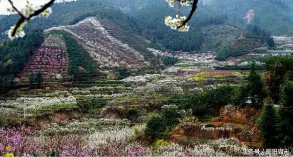 深呼吸！去九峰山湘南大竹海做個肺部SPA！