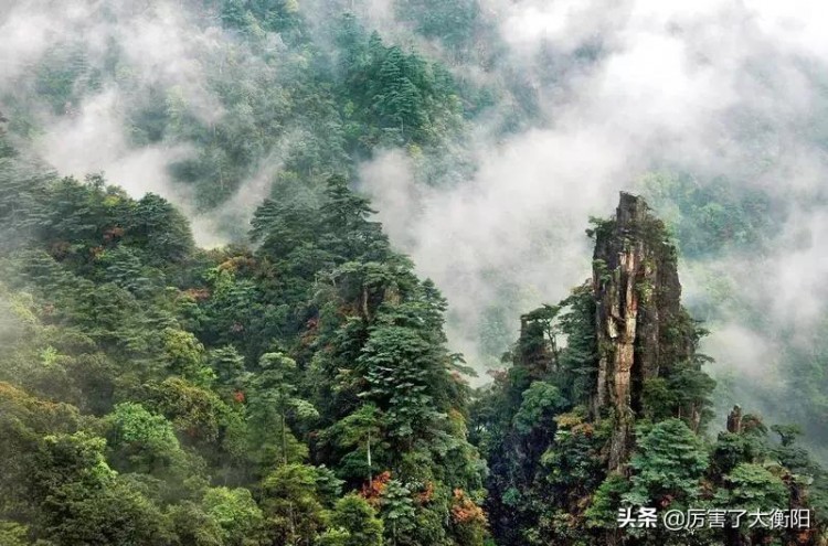 斷崖式降溫！去周邊最具人氣溫泉泡湯那才叫爽