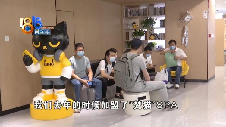 甩手掌柜紛紛找上門聊聊梵貓經營之道