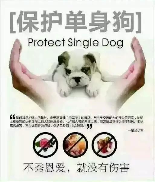 送花太out了情人節肇慶有人別出心裁包裹蒸送情人