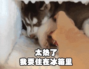 三伏天逃離酷暑！馬鞍山周邊8大涼爽游玩去處！別再肥宅在家了