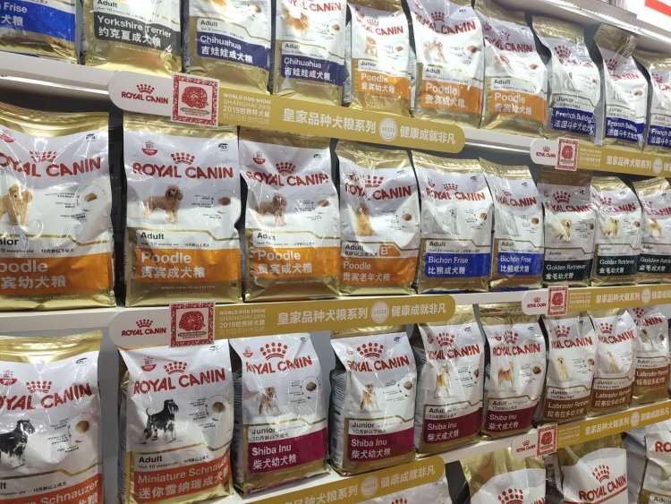 漫威聯(lián)名款牽引繩寵物SPA全自動貓廁所…寵博會養(yǎng)寵神器了解一下