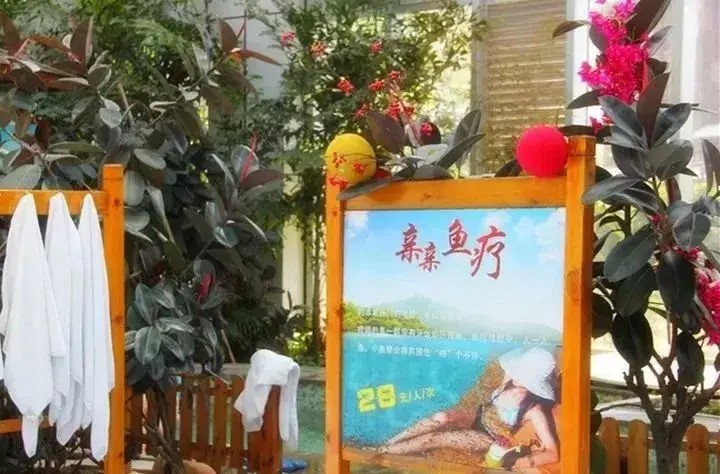 夏季泡溫泉居然這么多好處！濱州這個(gè)網(wǎng)紅溫泉打卡地你去了嗎