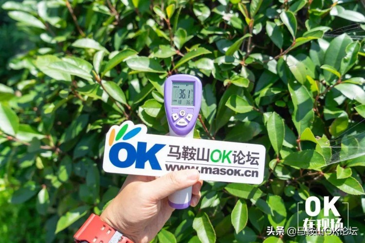 地表68.4℃！暴走實測馬鞍山夏天溫度！遇到這群汗濕衣衫的人