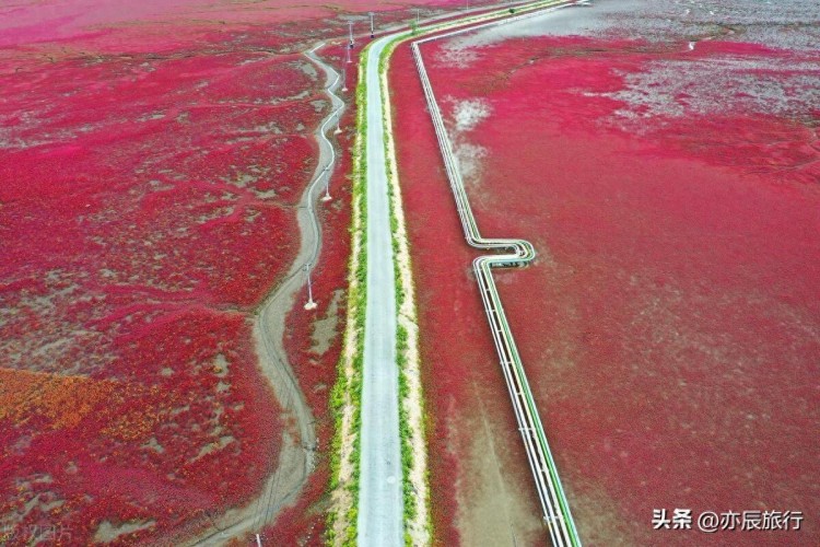 遼寧盤錦六大必游景點，2024年春節旅游最佳場所
