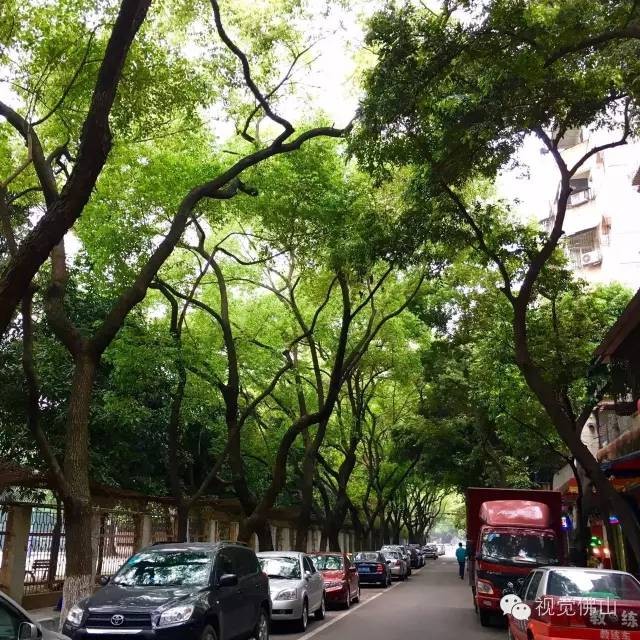 快點開周末給你的眼睛和心靈做個SPA吧~