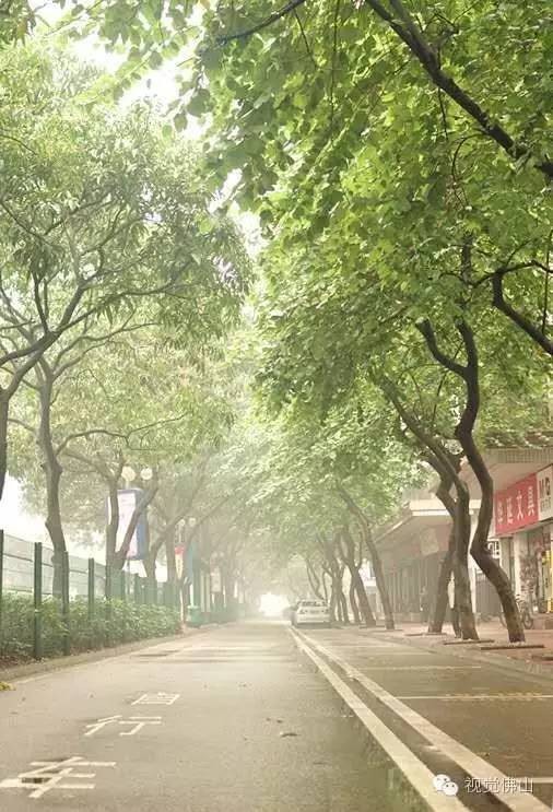 快點開周末給你的眼睛和心靈做個SPA吧~