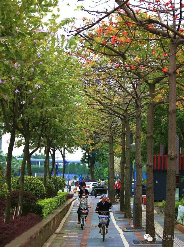 快點開周末給你的眼睛和心靈做個SPA吧~