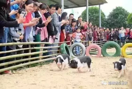 繼玻璃橋后韶關(guān)又爆出了新的玻璃觀景平臺(tái)！