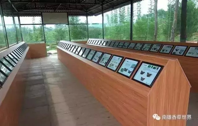 繼玻璃橋后韶關(guān)又爆出了新的玻璃觀景平臺(tái)！